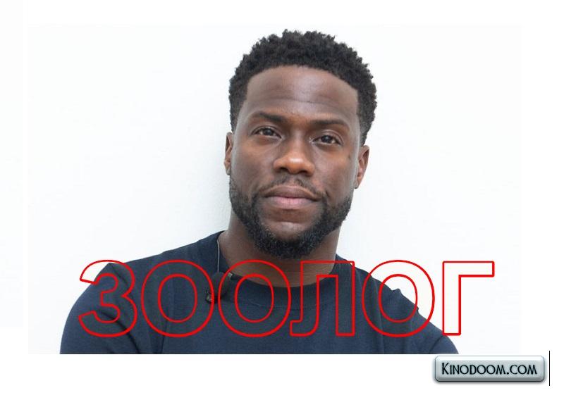 Картинка-подсказка 4