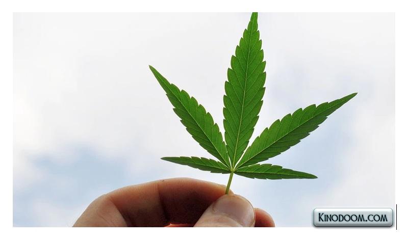 Картинка-подсказка 2