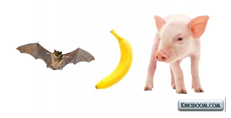 Картинка-подсказка 1