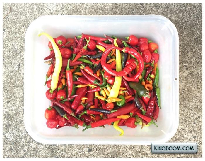 Картинка-подсказка 2