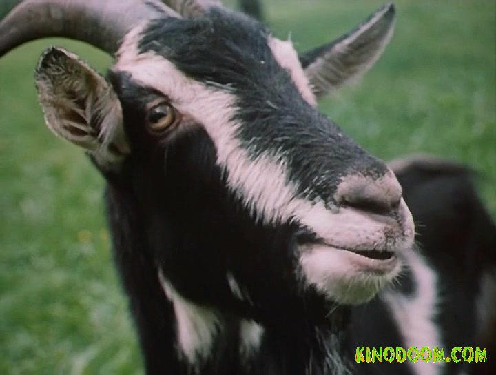 Картинка-подсказка 1